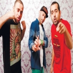 Dam da arabian mc s